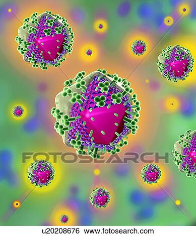 HIV virus particles, artwork View Large Photo Image Stock Photograph - HIV virus particles, artwork. Fotosearch