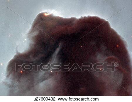 Horsehead nebula View Large Photo Image Stock Image - Horsehead nebula. Fotosearch