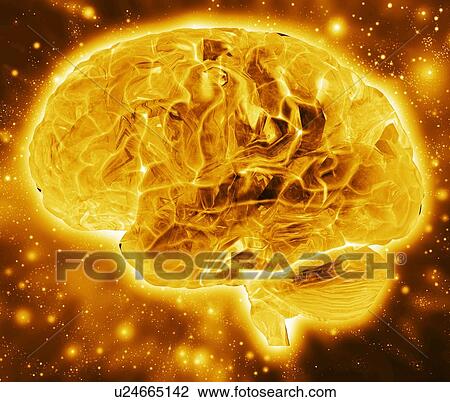 Stock Image - Human brain, computer artwork. Fotosearch