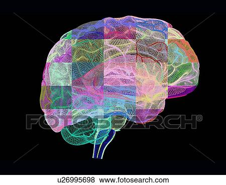 Human brain, computer artwork View Large Photo Image Stock Photo - Human brain, computer artwork. Fotosearch