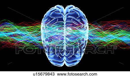 Human brain, conceptual artwork View Large Photo Image Stock Image - Human brain, conceptual artwork. Fotosearch