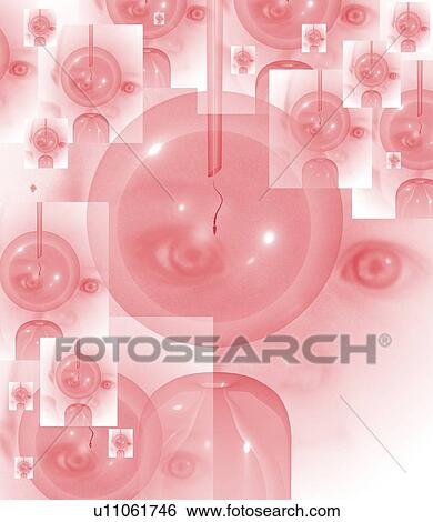In vitro fertilisation, artwork View Large Photo Image Stock Photograph - In vitro fertilisation, artwork. Fotosearch