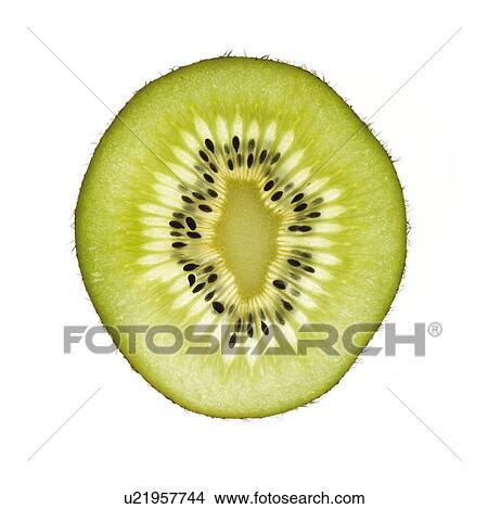 Picture - Kiwi slice. Fotosearch