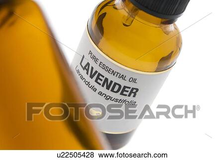 Stock Photo - Lavender essential oil. Fotosearch