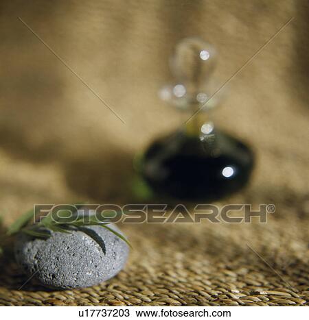 Stock Image - Leaves on a pebble. Fotosearch