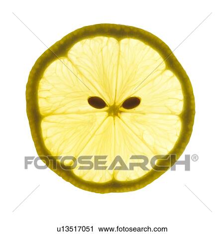 Stock Image - Lemon slice. Fotosearch