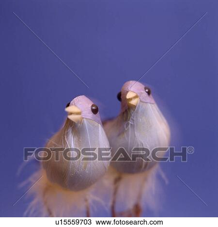 Stock Image - Love birds. Fotosearch