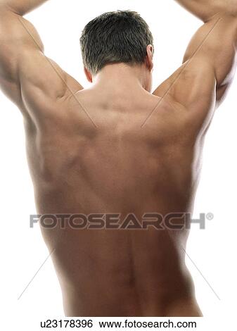 Stock Photograph - Male back. Fotosearch