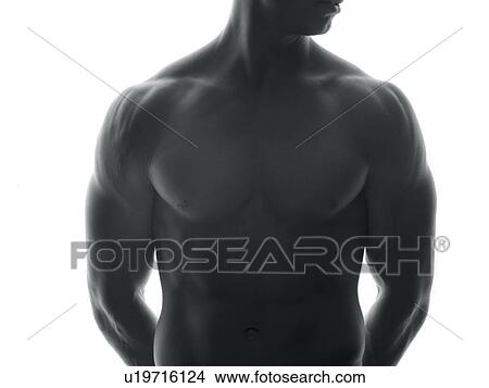 Male body View Large Photo Image Picture - Male body. Fotosearch