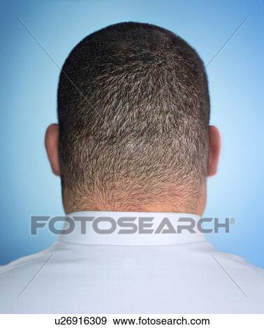 Male head View Large Photo Image Stock Photo - Male head. Fotosearch