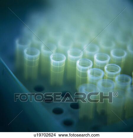 Picture - Microtubes. Fotosearch