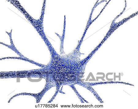 Nerve cell, computer artwork View Large Photo Image Picture - Nerve cell, computer artwork. Fotosearch