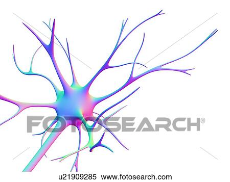 Nerve cell, computer artwork View Large Photo Image Stock Photography - Nerve cell, computer artwork. Fotosearch