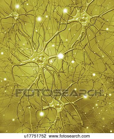 Stock Image - Nerve cells, artwork. Fotosearch