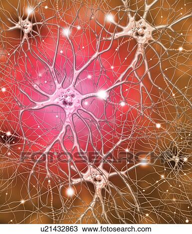 Stock Image - Nerve cells, artwork. Fotosearch