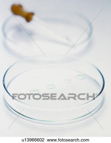 Stock Image - Petri dish & pipette. Fotosearch