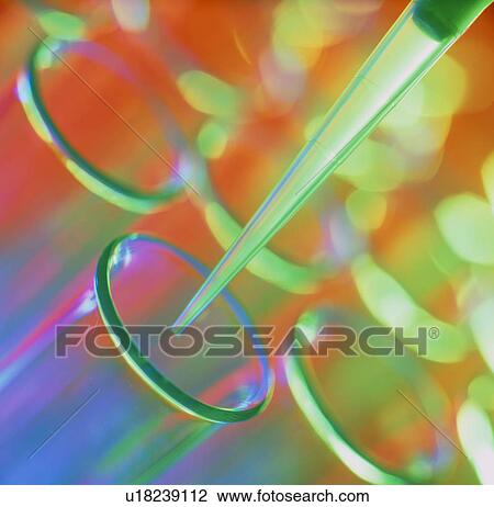Pipettor dipensing fluid into test tubes View Large Photo Image Stock Image - Pipettor dipensing fluid into test tubes. Fotosearch