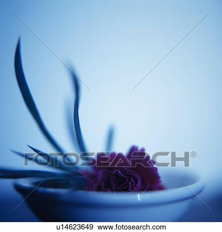 Stock Photo - Pot-pourri. Fotosearch