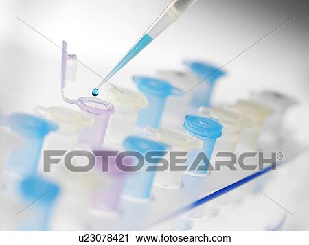 Preparing sample vials View Large Photo Image Stock Image - Preparing sample vials. Fotosearch