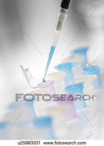 Preparing sample vials View Large Photo Image Stock Image - Preparing sample vials. Fotosearch