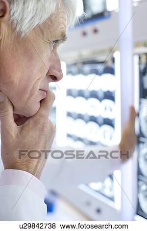 Radiologist studying CT scans View Large Photo Image Stock Photo - Radiologist studying CT scans. Fotosearch