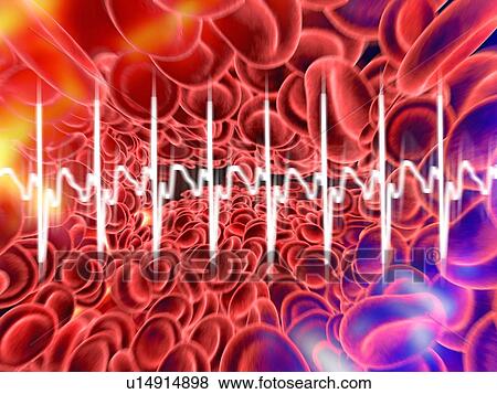 Red blood cells and ECG, artwork View Large Photo Image Stock Photo - Red blood cells and ECG, artwork. Fotosearch