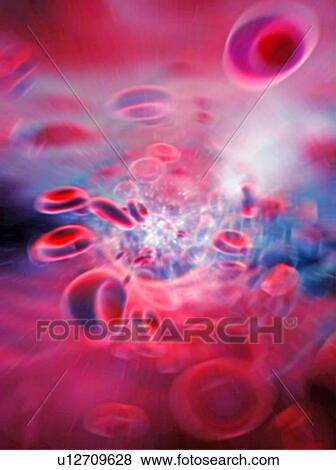 Red blood cells, computer artwork View Large Photo Image Stock Photo - Red blood cells, computer artwork. Fotosearch