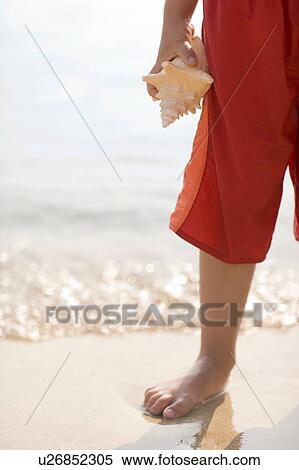 Seaside View Large Photo Image Stock Photography - Seaside. Fotosearch