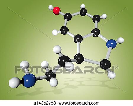 Stock Image - Serotonin neurotransmitter molecule. Fotosearch