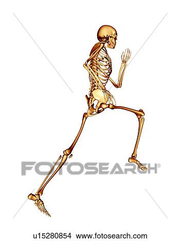 Skeleton running View Large Photo Image Picture - Skeleton running. Fotosearch