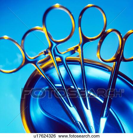 Surgical forceps and scissors in a metal bowl View Large Photo Image Stock Photograph - Surgical forceps and scissors in a metal bowl. Fotosearch
