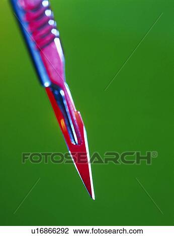 Surgical scalpel with disposable blade View Large Photo Image Stock Image - Surgical scalpel with disposable blade. Fotosearch