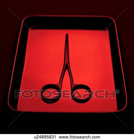 Surgical scissors View Large Photo Image Stock Image - Surgical scissors. Fotosearch