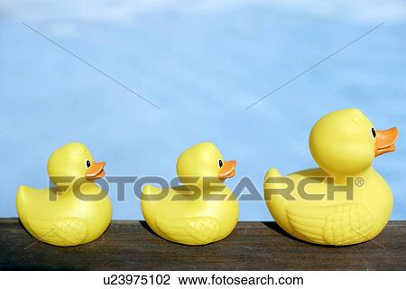 Three rubber ducks View Large Photo Image Stock Image - Three rubber ducks. Fotosearch