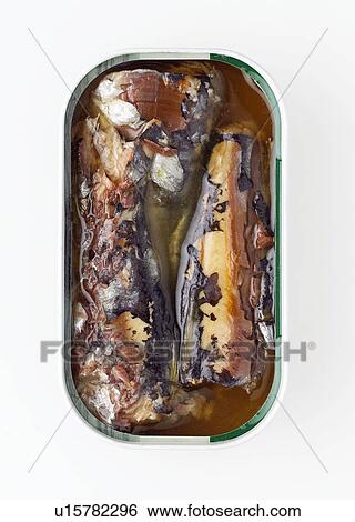 Tinned sardines View Large Photo Image Stock Photograph - Tinned sardines. Fotosearch