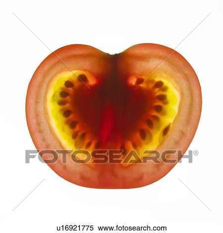 Tomato slice View Large Photo Image Stock Photography - Tomato slice. Fotosearch