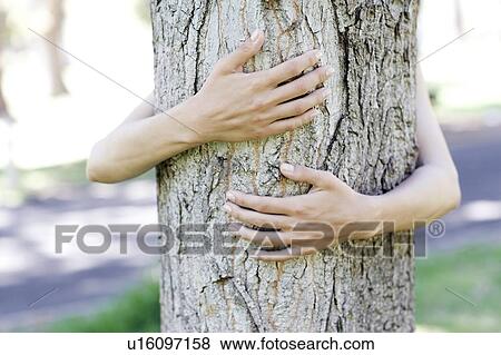 Tree hugging View Large Photo Image Stock Photo - Tree hugging. Fotosearch