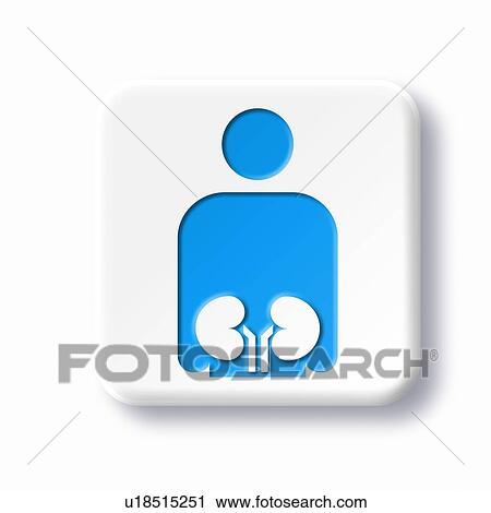 Stock Image - Urology symbol, artwork. Fotosearch