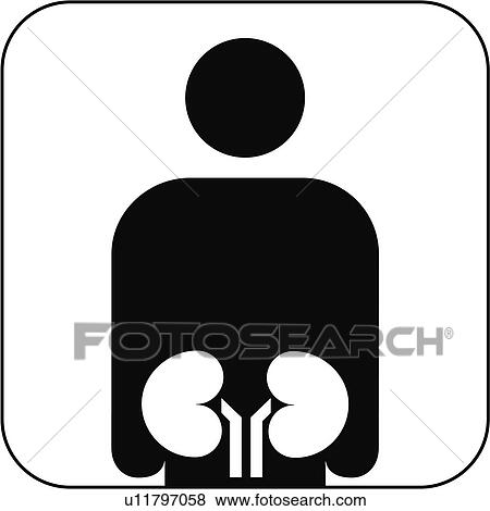 Stock Photo - Urology symbol, artwork. Fotosearch