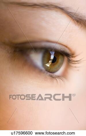 Stock Image - Woman's eye. Fotosearch