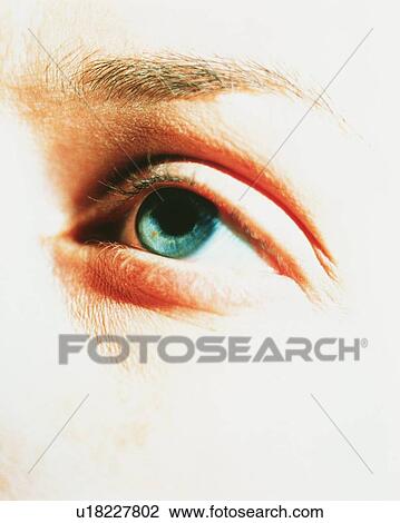 Woman's eye View Large Photo Image Stock Image - Woman's eye. Fotosearch