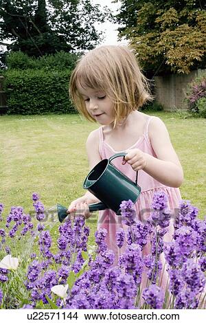 Young girl watering flowers View Large Photo Image Picture - Young girl watering flowers. Fotosearch