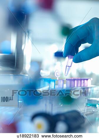 Stock Image - A eppendorf containing a sample used in analytical chemistry and DNA extraction awaiting testing in a laboratory. Fotosearch