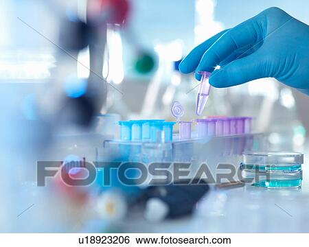 Stock Photograph - A eppendorf containing a sample used in analytical chemistry and DNA extraction awaiting testing in a laboratory. Fotosearch