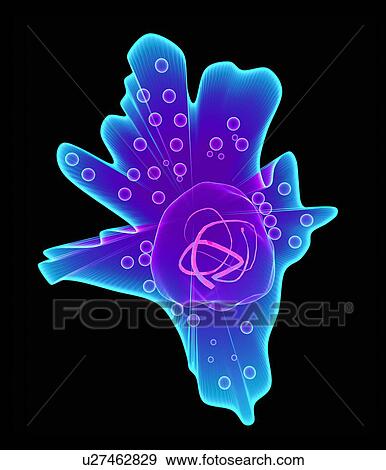 Amoeba, artwork View Large Photo Image Stock Photo - Amoeba, artwork. Fotosearch