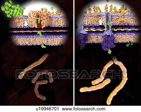 Antibiotic resistance, illustration View Large Photo Image Stock Image - Antibiotic resistance, illustration. Fotosearch