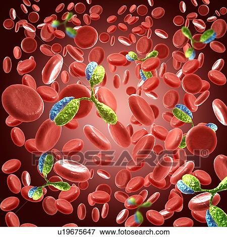 Stock Photo - Antibody 1IGT, illustration. Fotosearch