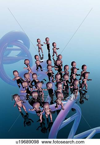 Babies and DNA, illustration View Large Photo Image Stock Photo - Babies and DNA, illustration. Fotosearch