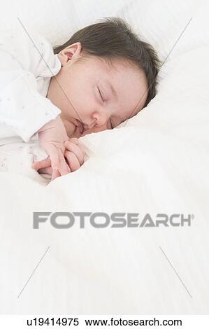 Baby asleep View Large Photo Image Stock Photography - Baby asleep. Fotosearch