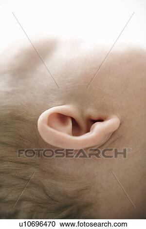 Stock Image - Baby boy's ear. Fotosearch